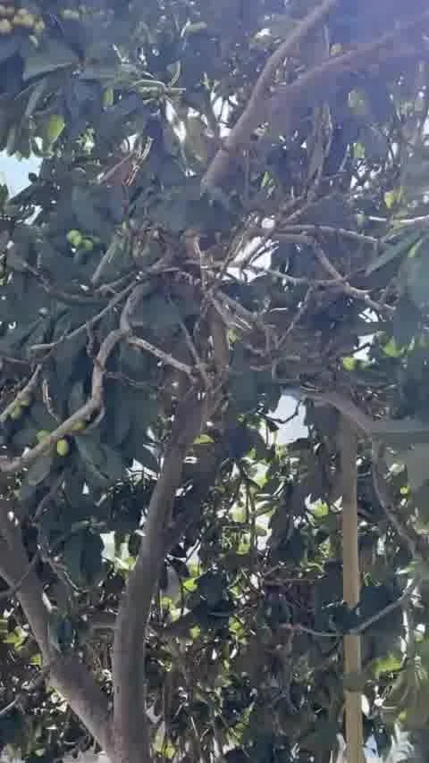 Arkeolojik Kazı Alanı 4